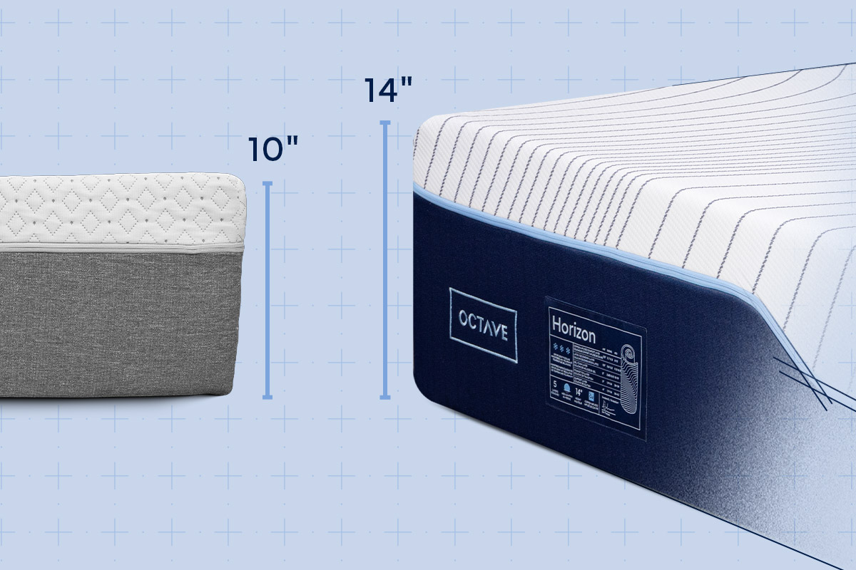 Octave vs Endy (2024) Discover the Difference